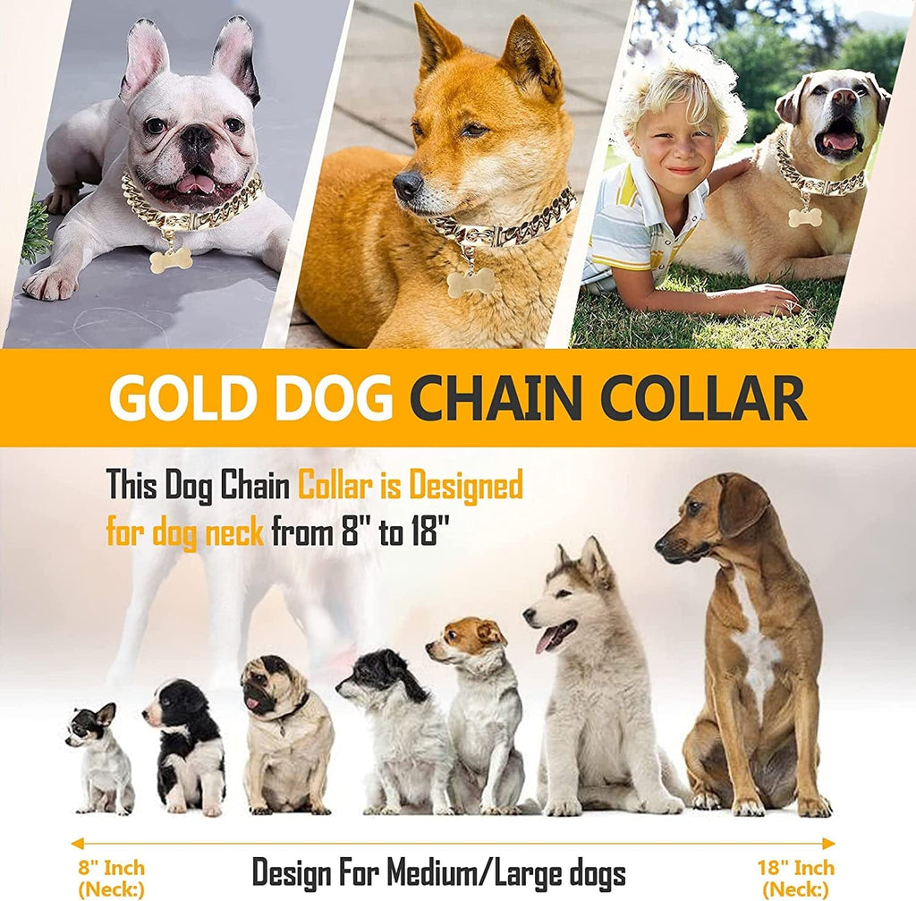 Heavy-duty gold Cuban dog collar – view 7