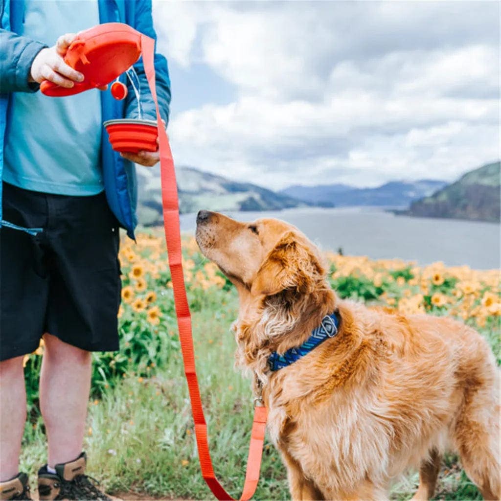 4-in-1 dog leash with water bottle – view 4
