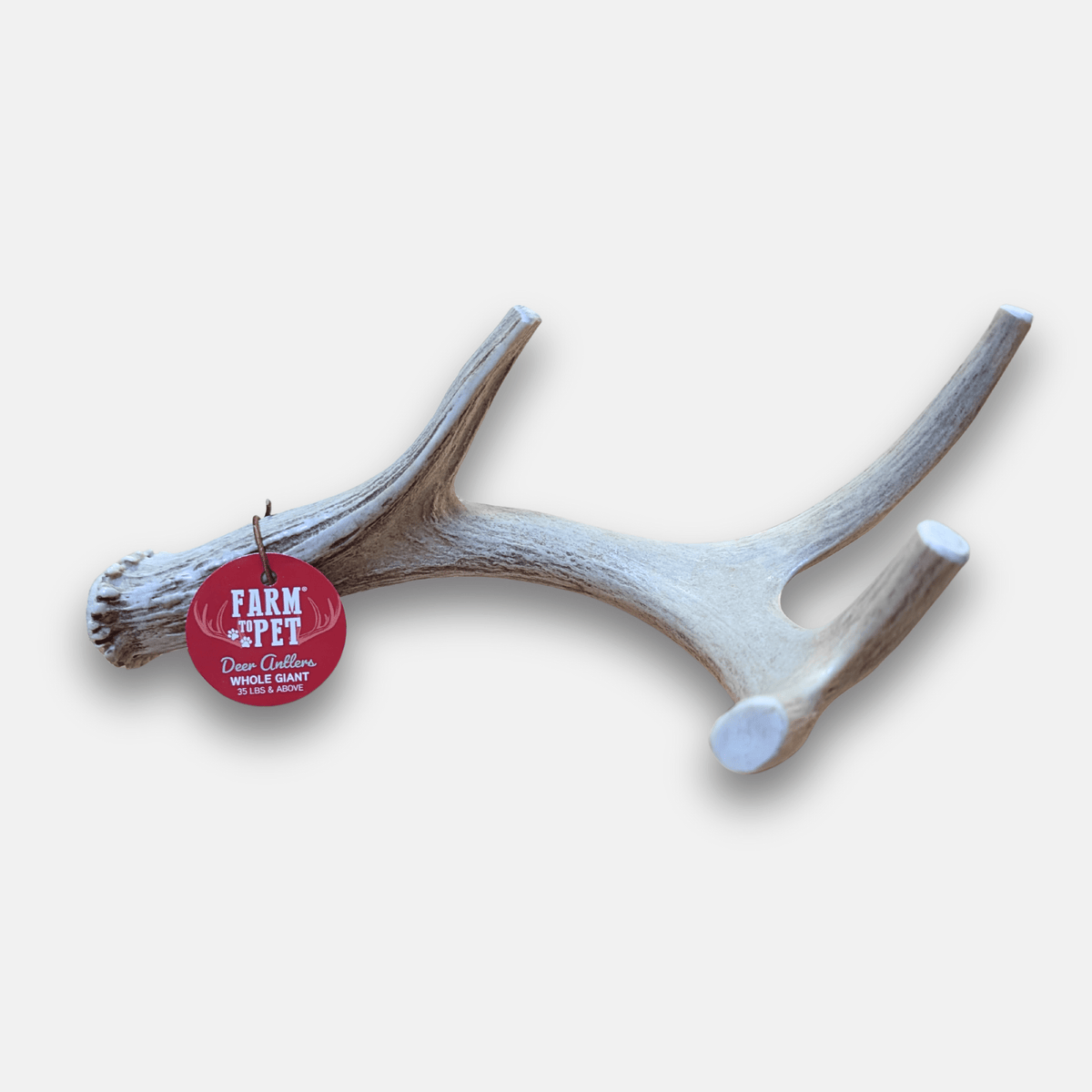 Farm To Pet whole deer antler dog chew, Giant, front view