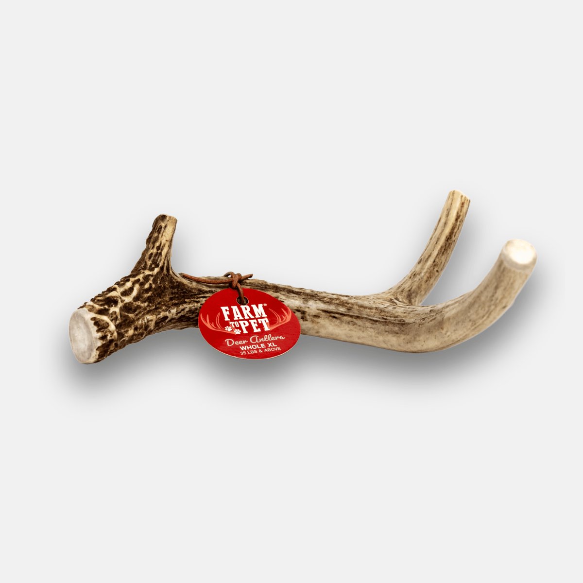 Farm To Pet whole deer antler dog chew, X-Large, front view 2
