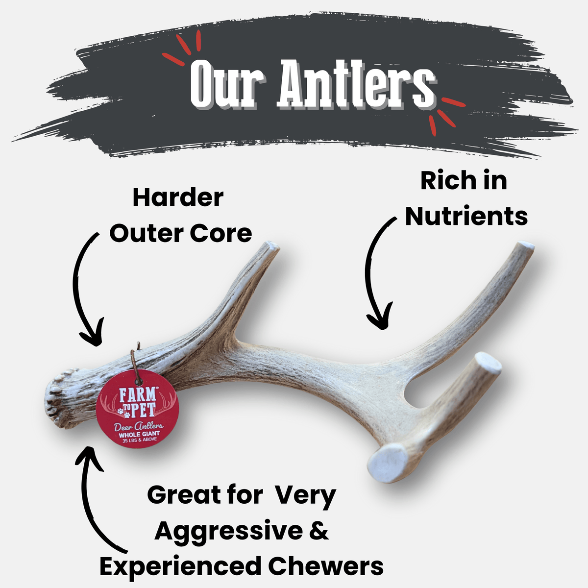 Farm To Pet whole deer antler dog chew, Giant size 1