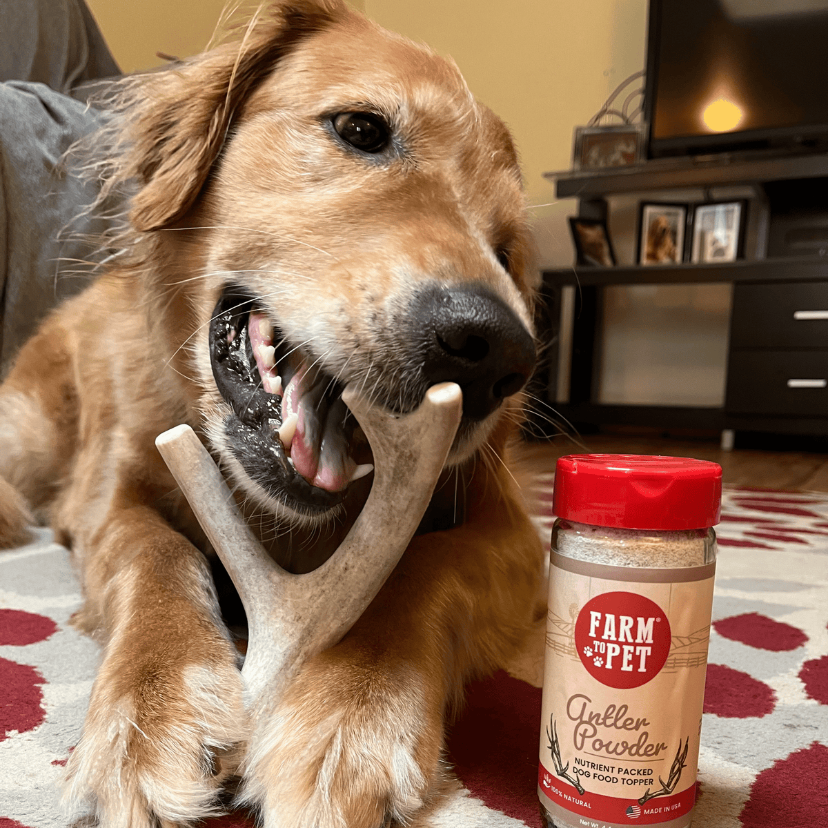Farm To Pet whole deer antler dog chew, Medium size 3