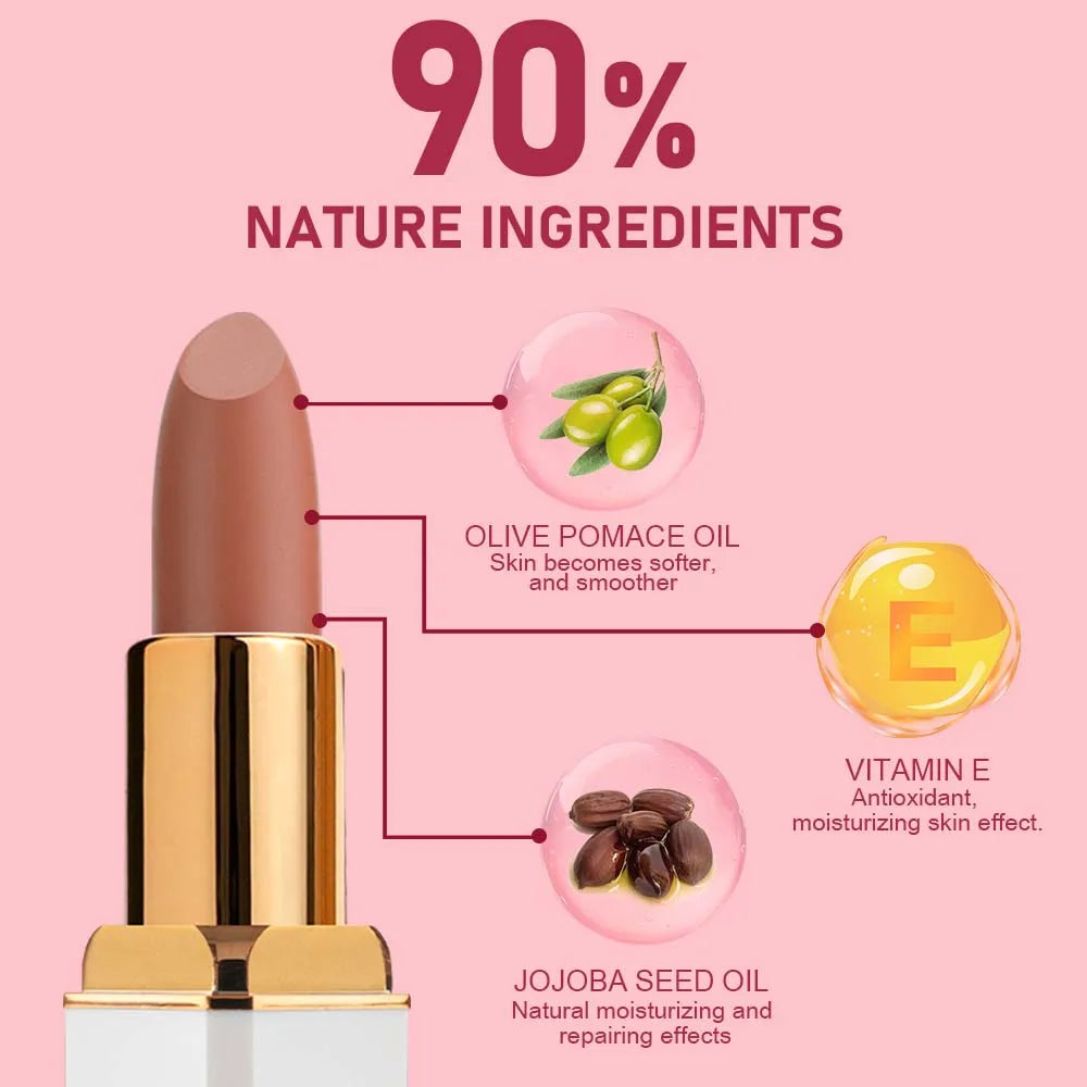Ochain Private Lable 12 Hours Comfortable Wear Full-Coverage Pigment-Rich Colour Velvet Waterproof Vegan Silky Matte Lipstick