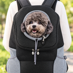 Close-up of a small dog's head out of the front pet carrier backpack opening